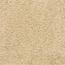 Pendleton Plush Carpet