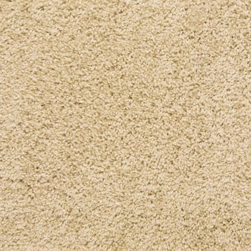 Pendleton Plush Carpet
