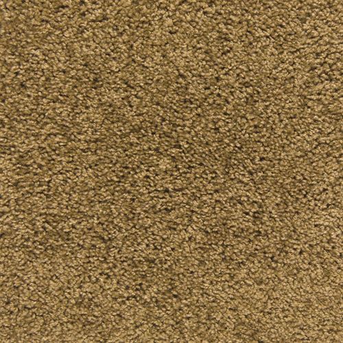 Pendleton Plush Carpet