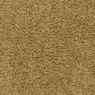 Pendleton Plush Carpet