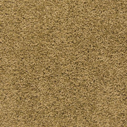 Pendleton Plush Carpet