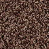 Shimmer Color Chocolate Pizzazz