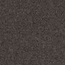 Tenbrooke II Commercial Carpet and Carpet Tile