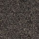 Tenbrooke II Color Black Sable