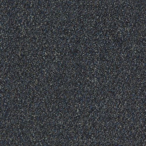 Tenbrooke II Commercial Carpet And Carpet Tile