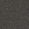 Tenbrooke II Commercial Carpet and Carpet Tile