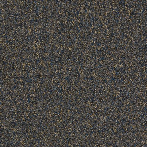 Tenbrooke II Commercial Carpet And Carpet Tile