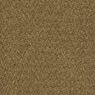 Tenbrooke II Commercial Carpet and Carpet Tile