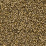 Tenbrooke II Color Oat Straw