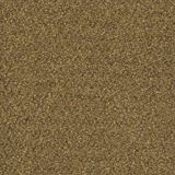 Tenbrooke II Oat Straw Carpet