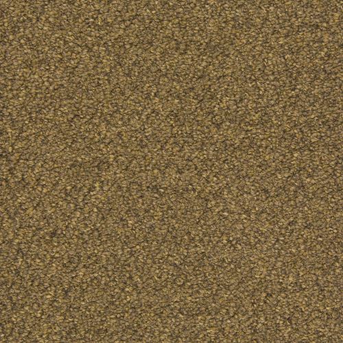 Tenbrooke II Commercial Carpet And Carpet Tile