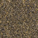 Tenbrooke II Color Sandwashed Driftwood