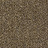 Tenbrooke II Sandwashed Driftwood Carpet