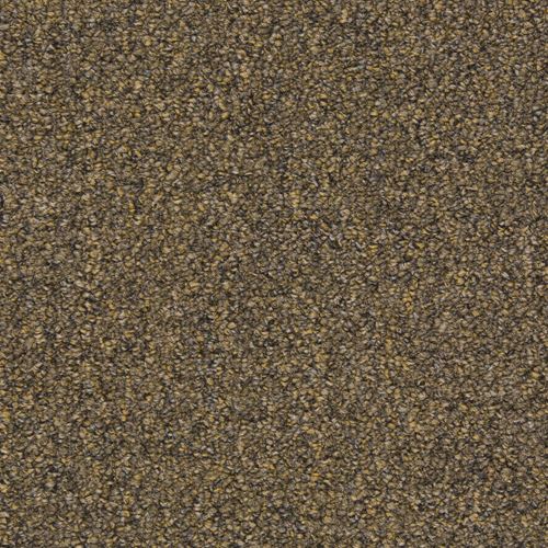 Tenbrooke II Commercial Carpet And Carpet Tile
