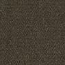 Tenbrooke II Commercial Carpet and Carpet Tile