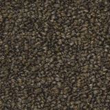 Tenbrooke II Color Stealth Jet