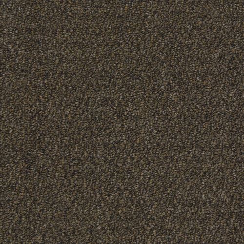 Tenbrooke II Commercial Carpet And Carpet Tile