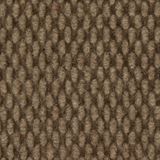 Courtyard Color Harvest