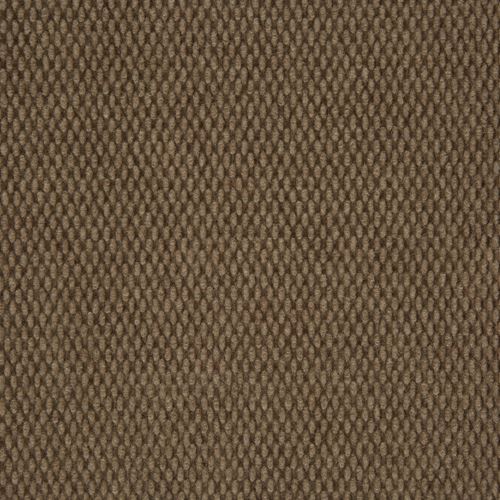 Courtyard Indoor/Outdoor Carpet