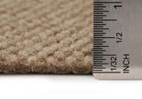 Courtyard Harvest Carpet
