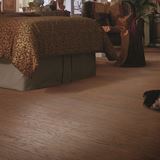 Accents Raven Rock Laminate