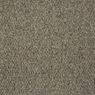 Tenbrooke II Commercial Carpet and Carpet Tile
