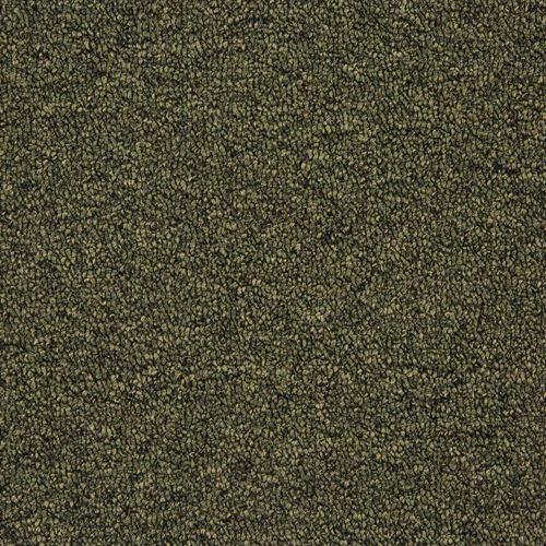 Tenbrooke II Commercial Carpet And Carpet Tile