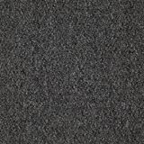 Tenbrooke II Smoke Screen Carpet