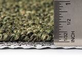 Tenbrooke II Sage Leaf Carpet