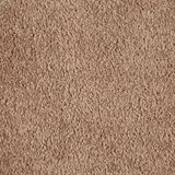 Ridgeland Camelot Carpet