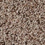 Sidekick Color Birch Desert