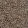 Sidekick Frieze Carpet
