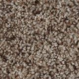 Sidekick Color Early Dawn