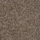 Sidekick Early Dawn Carpet