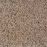 Sidekick Frieze Carpet