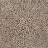 Sidekick Frieze Carpet