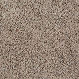 Sidekick Sand Dunes Carpet