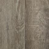 Grand Junction Color Aspen