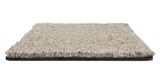 Incomparable Sonora Carpet