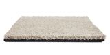 Incomparable Sphinx Carpet