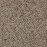 Incomparable Frieze Carpet