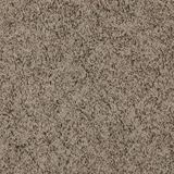 Incomparable Sonora Carpet