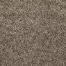 Incomparable Frieze Carpet