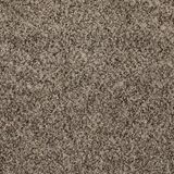 Incomparable Great Sandy Carpet