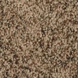 Incomparable Color Joshua Tree