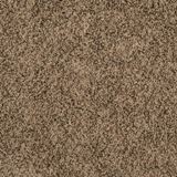Incomparable Joshua Tree Carpet