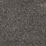 Incomparable Rushmore Carpet
