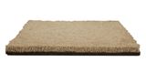 One And Only Above All Carpet