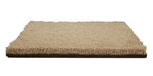 One And Only Plush Carpet