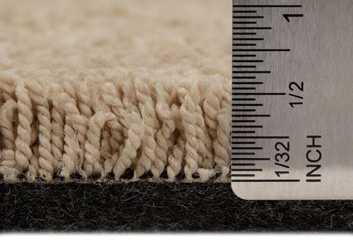 One And Only Plush Carpet